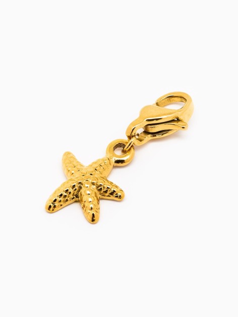 CHARM ASTERINA 2