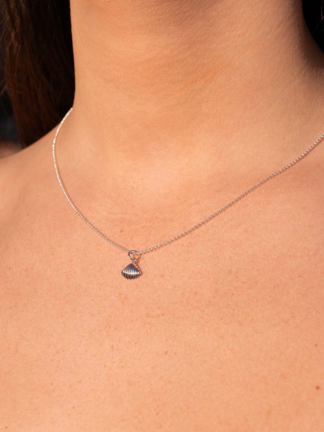 COLLAR PLATA DE LEY CONCHA 2