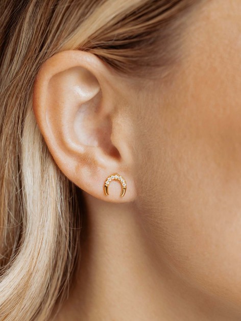 PENDIENTES PLATA DE LEY... 2