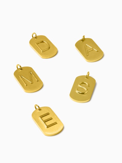 CHARM COLGANTE CHAPA INICIAL 2
