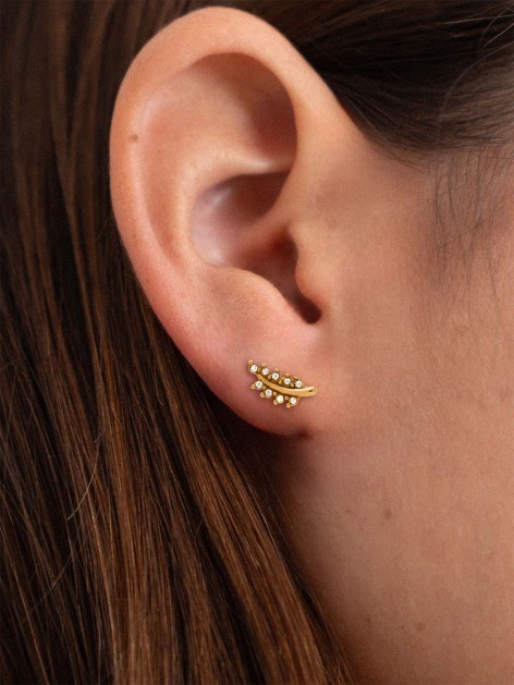 INDIVIDUAL FERN SLOPE 2