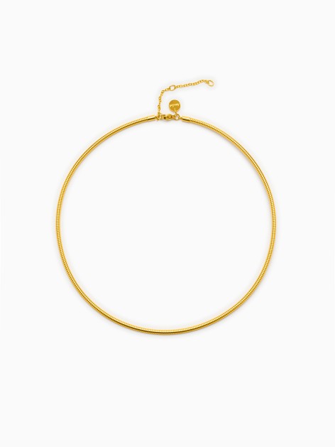 COLLAR PERSONALIZABLE...