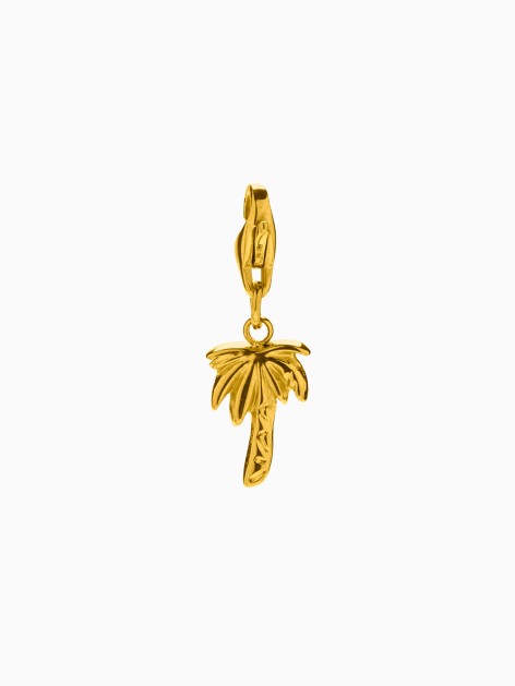 CHARM PALM TREE