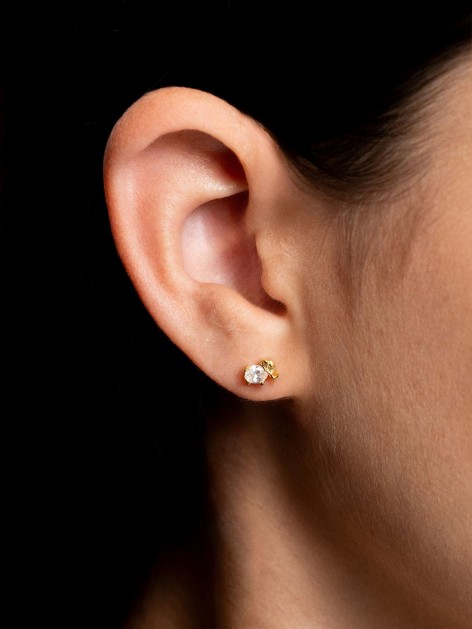 PENDIENTES PLATA DE LEY... 2