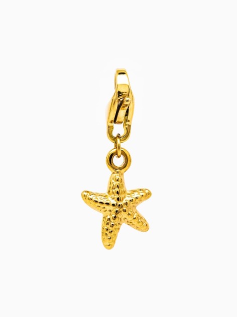 CHARM ASTERINA