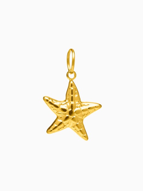 STARFISH PENDANT CHARM